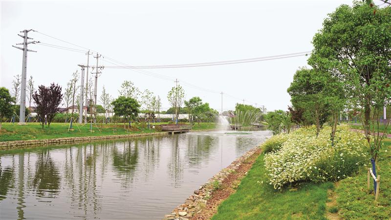 濱湖山水城境內(nèi)河道優(yōu)Ⅲ類水達(dá)82.02% 43條門(mén)前家河“重回青綠”