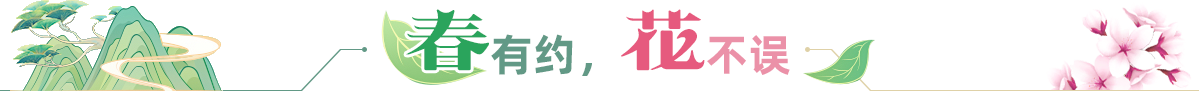 春有約，花不誤